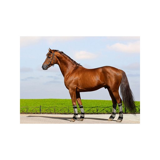 Techniche 8550 HyperKewl™ Evaporative Cooling Horse Leg Wraps
